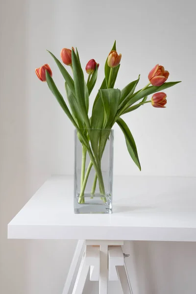 stock image A bouquet of red and yellow tulips in a square clear glass vase on a white wooden desk