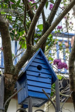 Paris, Fransa - 05 01 01 2023: Bir ağacın dallarında asılı mavi ahşap bir kuş evi