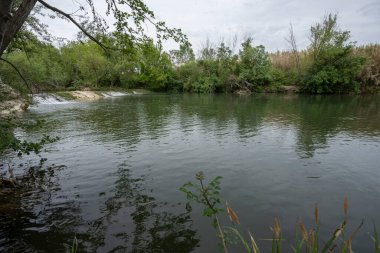 Lecques yakınlarındaki Vidourle nehri boyunca kırsal ve üzüm bağlarının manzarası