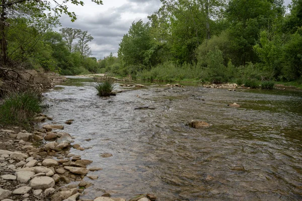 Lecques yakınlarındaki Vidourle nehri boyunca kırsal ve üzüm bağlarının manzarası