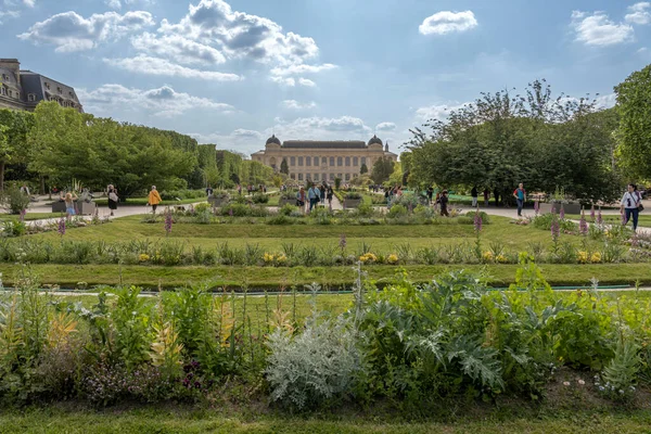 Париж Франция 2023 Сад Растений Большая Эстрадная Галерея Вид Ботанический — стоковое фото