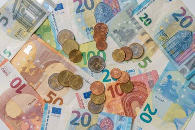 Durgun hayat. Avro banknot ve sikkelerine yakından bak