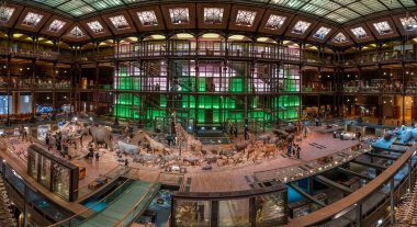 Paris, Fransa - 06 10 2023: Paris Büyük Evrim Galerisi. Parlak bir duvar ve tavanı olan galerinin genel manzarası