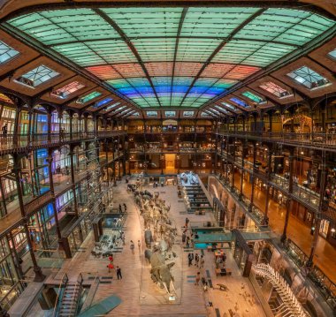 Paris, Fransa - 06 10 2023: Paris Büyük Evrim Galerisi. Parlak bir duvar ve tavanı olan galerinin genel manzarası