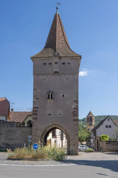 Město Rosheim Pohled Vstupní Dveře Lví Brána Vesnici — Stock fotografie