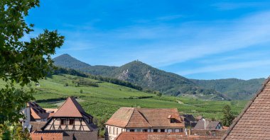 Alsas üzüm bağı. Köyün manzarası ve arka plandaki tepelerin tepesindeki Ribeauville 'in üç şatosu.