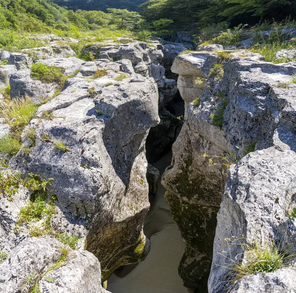 Los Pertes de la Valserine manzarası şelaleleri ve çevresindeki ormanla