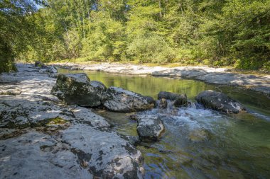 Los Pertes de la Valserine manzarası şelaleleri ve çevresindeki ormanla