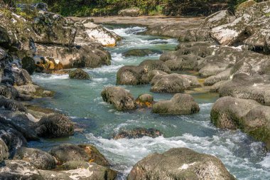 Los Pertes de la Valserine manzarası şelaleleri ve çevresindeki ormanla