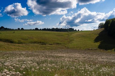 Valserine Vadisi 'nin çevresindeki tepeler, çayırlar ve ormanlarla manzarası