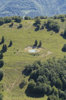 Chezery-Forens, Fransa - 09 02 02 2021: Çayırda iki köknar ağacı olan bir su rezervi manzarası