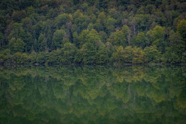 Lake District. Ormanın göle yansıyan görüntüsü