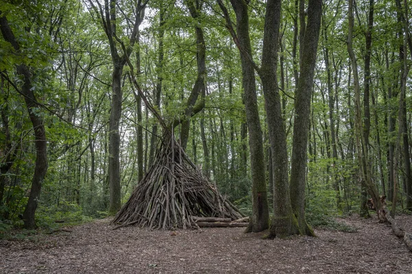 Ormandaki tahta çadır manzarası Bois de Serre, ormanın kenarında.