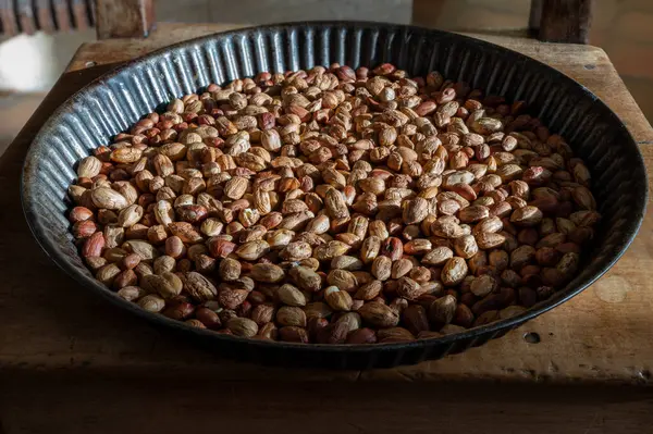 Tahta bir sandalyede turta tabağında soyulmuş fındık.
