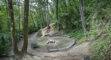 Ormanda yeşil bir amfitiyatro manzarası