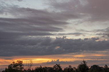 Gökyüzü Arkaplanı. Gün doğumunda renkli bulutlu ve ağaçlı bir bulutun ayrıntılı görünümü
