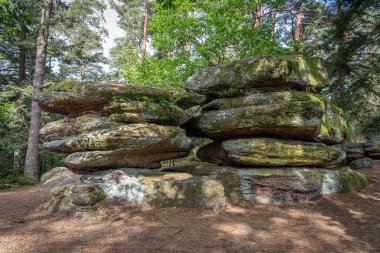 Galyalıların yolu. Kayaların ve ağaçların manzarası
