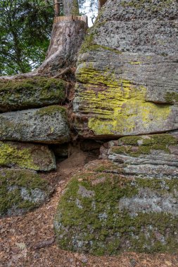 Galyalıların yolu. Kayaların ve ağaçların manzarası