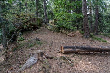 Galyalıların yolu. Kayaların ve ağaçların manzarası