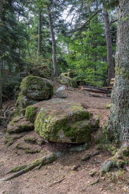 Galyalıların yolu. Kayaların ve ağaçların manzarası