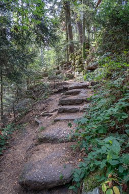 Galyalıların yolu. Kayaların ve ağaçların manzarası