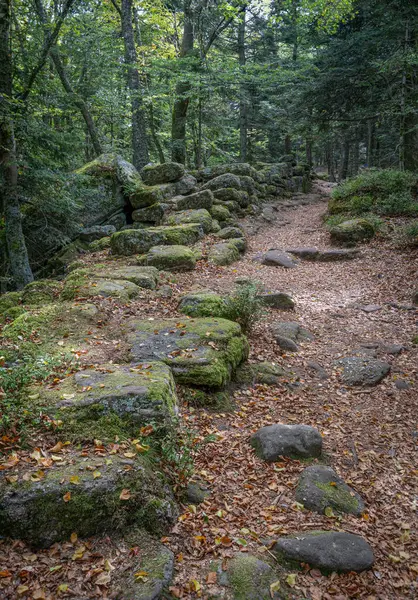 Path of the Gauls. View of rocks walls, stairs and trees