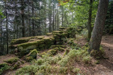 Galyalıların yolu. Putperest taş duvar, merdiven ve ağaçların manzarası