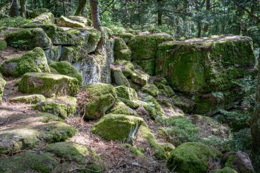Galyalıların yolu. Patikanın tepesindeki kayaların ve ağaçların panoramik görüntüsü