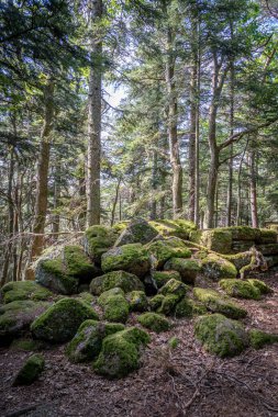 Galyalıların yolu. Patikanın tepesindeki kayaların ve ağaçların panoramik görüntüsü