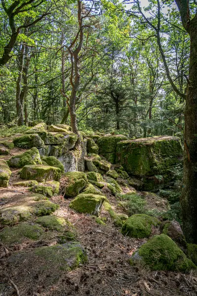 Path of the Gauls. Panoramic view of rocks and trees on top of the pathway