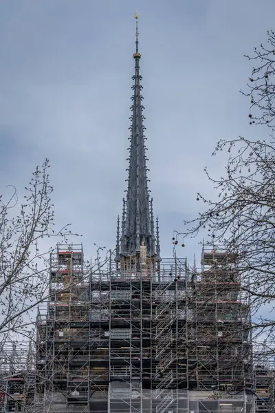 法国巴黎 2024 巴黎圣母院 从金属管的巨大脚手架上升起的顶着圣母座堂金黄色公鸡的尖塔 — 图库照片