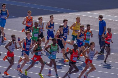Paris, Fransa - 08 07 2024: Paris Olimpiyat Oyunları 2024. Olimpiyat Atletizm müsabakaları sırasında stadyumdaki 5.000 metre erkekler ilk turu izleniyor