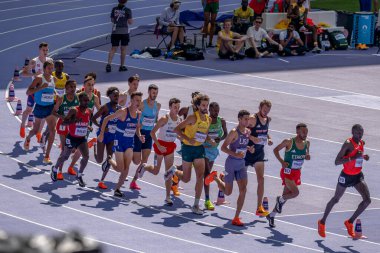 Paris, Fransa - 08 07 2024: Paris Olimpiyat Oyunları 2024. Olimpiyat Atletizm müsabakaları sırasında stadyumdaki 5.000 metre erkekler ilk turu izleniyor