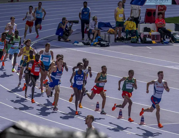 Paris, Fransa - 08 07 2024: Paris Olimpiyat Oyunları 2024. Olimpiyat Atletizm müsabakaları sırasında stadyumdaki 5.000 metre erkekler ilk turu izleniyor
