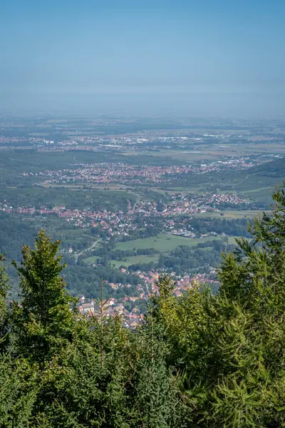 stock image Mont Sainte Odile, France - 09 11 2020: Alsatian Vineyard. Panoramic view of forests, hills and villages from the Sanctuary of Mont Sainte Odile along the wine route