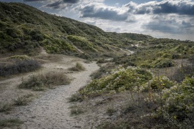 Kıyı yolunun panoramik manzarası, Cayeux-Sur-Mer 'den Le Hourdel' e beyaz yol