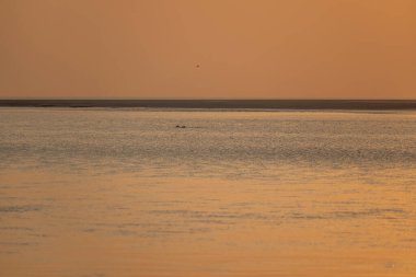 View of a sunset over the sea and a yellow buoy from the beach clipart