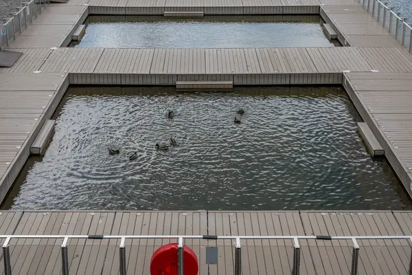 Paris, Fransa - 09: 28 2024: Bassin de la Villette manzarası ve Flanders köprüsünden yüzen ördekler ile açık yüzme havuzu