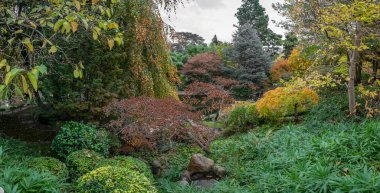 Albert Kahn's garden. Panoramic view of colorful trees in a Japanese garden in autumn clipart