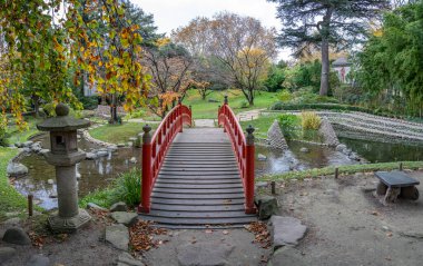 Boulogne-Billancourt, Fransa - 112 2024: Albert Kahn 'ın bahçesi. Koi göletinin panoramik manzarası, renkli ağaçlar ve sonbaharda bir Japon bahçesindeki köprü.