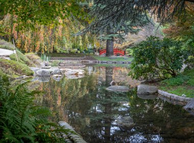 Boulogne-Billancourt, Fransa - 112 2024: Albert Kahn 'ın bahçesi. Koi göletinin panoramik manzarası, renkli ağaçlar ve sonbaharda bir Japon bahçesindeki köprü.