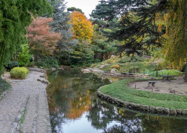 Boulogne-Billancourt, Fransa - 112 2024: Albert Kahn 'ın bahçesi. Koi göletinin panoramik manzarası, renkli ağaçlar ve sonbaharda Japon bahçesindeki kırmızı akçaağaç yaprakları.