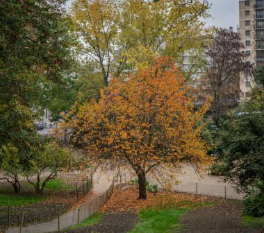 Paris, Fransa - 116 2024: Park Buttes Chaumont. Fevkalade ağaçların ve sonbahar renklerine sahip bitki örtüsünün panoramik görüntüsü