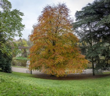 Paris, Fransa - 116 2024: Park Buttes Chaumont. Fevkalade ağaçların ve sonbahar renklerine sahip bitki örtüsünün panoramik görüntüsü