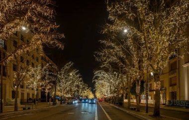 Paris, Fransa - 12: 11 2024: Montaigne Bulvarı boyunca ağaçlardaki Noel ışıklarının görüntüsü