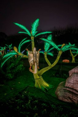 Paris, Fransa - 12: 2024: Jardin des Plantes 'in sokaklarında Jurasik türleri keşfetmek, ki bunlar Noel gecesi aydınlatılıyor