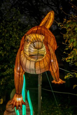 Paris, Fransa - 12: 2024: Jardin des Plantes 'in sokaklarında Jurasik türleri keşfetmek, ki bunlar Noel gecesi aydınlatılıyor