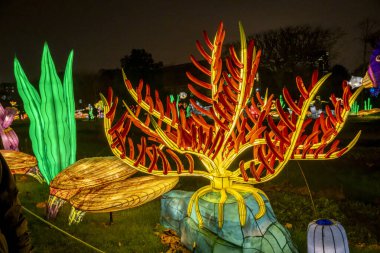 Paris, Fransa - 12: 2024: Jardin des Plantes 'in sokaklarında Jurasik türleri keşfetmek, ki bunlar Noel gecesi aydınlatılıyor