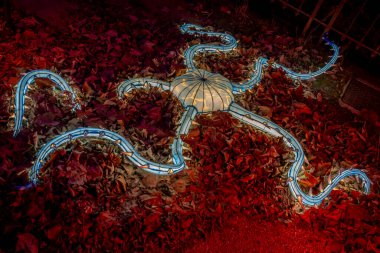 Paris, Fransa - 12: 2024: Jardin des Plantes 'in sokaklarında Jurasik türleri keşfetmek, ki bunlar Noel gecesi aydınlatılıyor