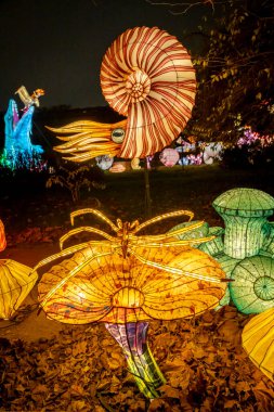 Paris, Fransa - 12: 2024: Jardin des Plantes 'in sokaklarında Jurasik türleri keşfetmek, ki bunlar Noel gecesi aydınlatılıyor